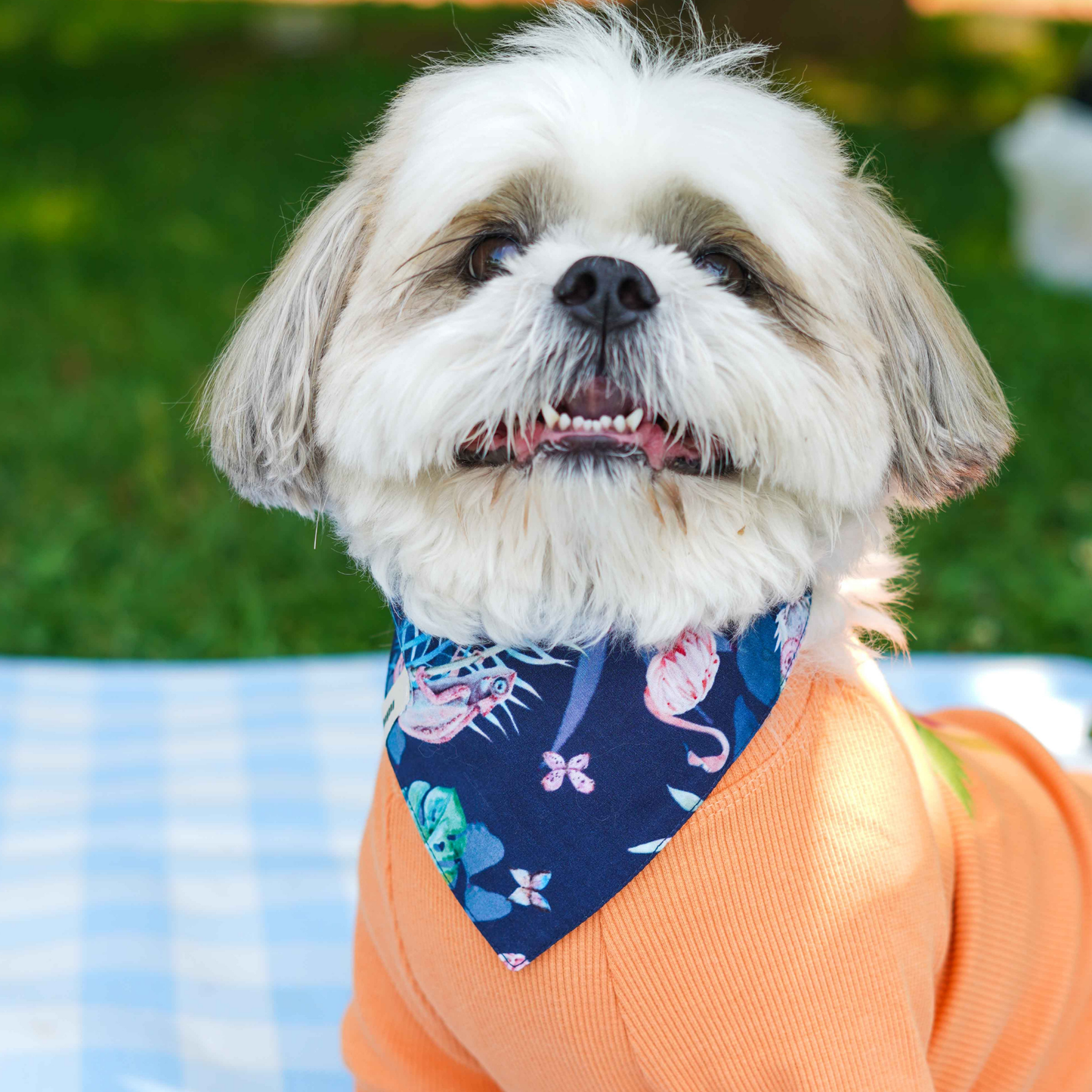 Urban Chic Bandana Miami