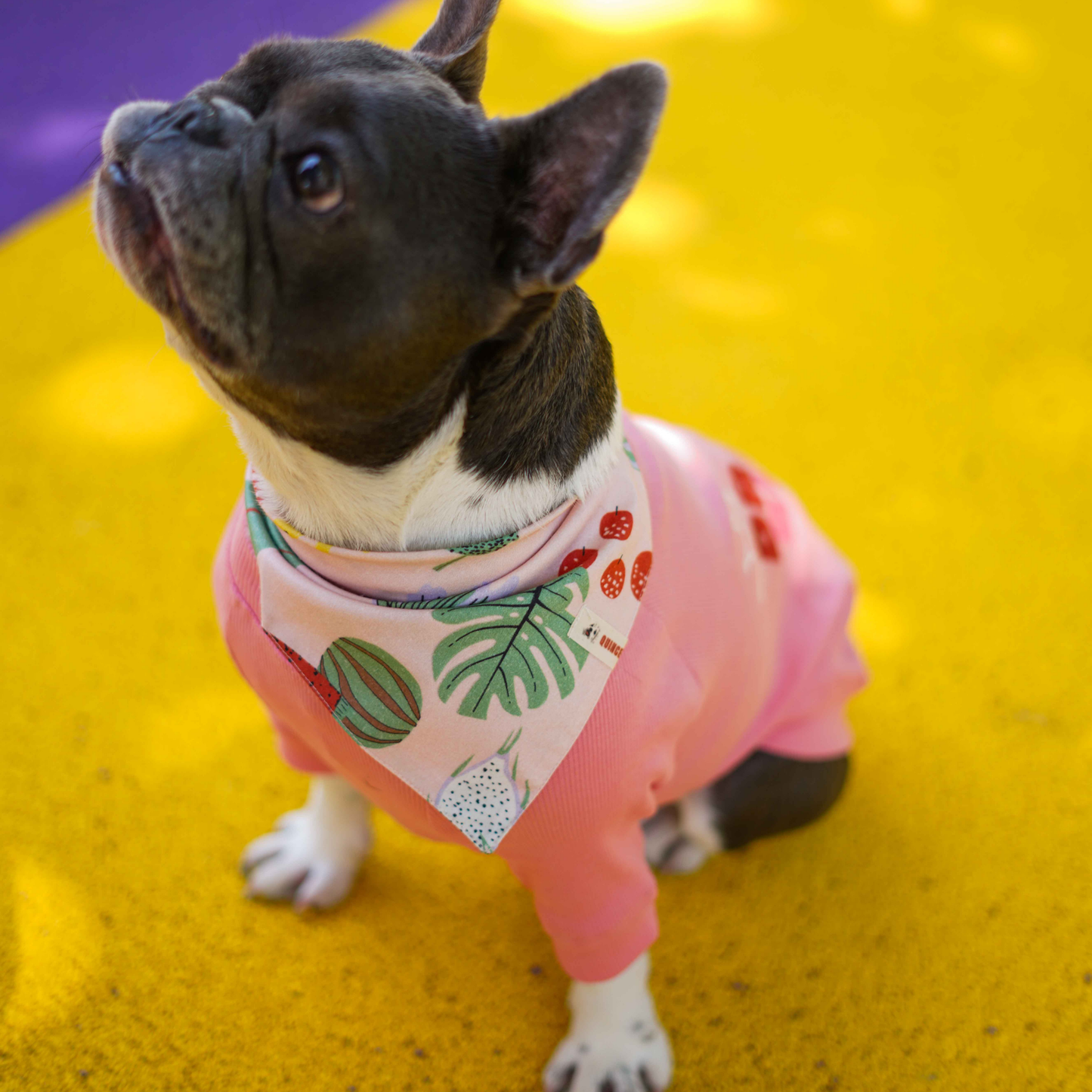 Urban Chic Bandana Rio